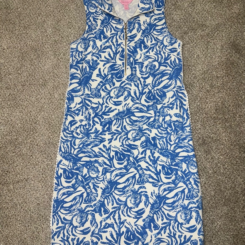 Lilly Pulitzer Blue and White Patterned Dress